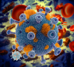 Bone marrow transplant - HIV image